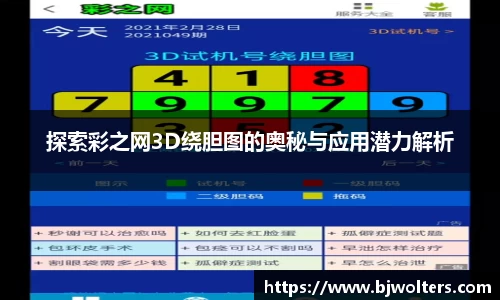 探索彩之网3D绕胆图的奥秘与应用潜力解析